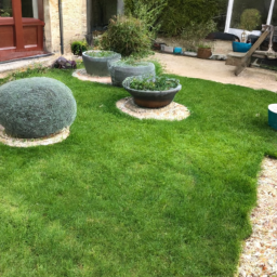 Techniques de taille pour maintenir un jardin esthétique et en bonne santé Cambrai